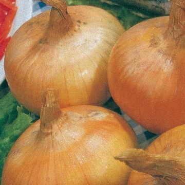 Park Seed Ultimate Vegetable Soup Seed Collection – Non-GMO Heirloom Garden Kit with Onion, Carrot, Celery, Roma Tomato & Corn – Flavorful Picks for Homemade Broths & Meals, Total of 880 Seeds