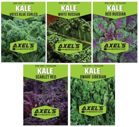 Kale Seeds for Planting - Plant & Grow Heirloom Kale Varieties Home Outdoor Garden – Easy Grow Planting Packet Instructions Included, Great Gardening Gift – 3 Packets of Each Variety