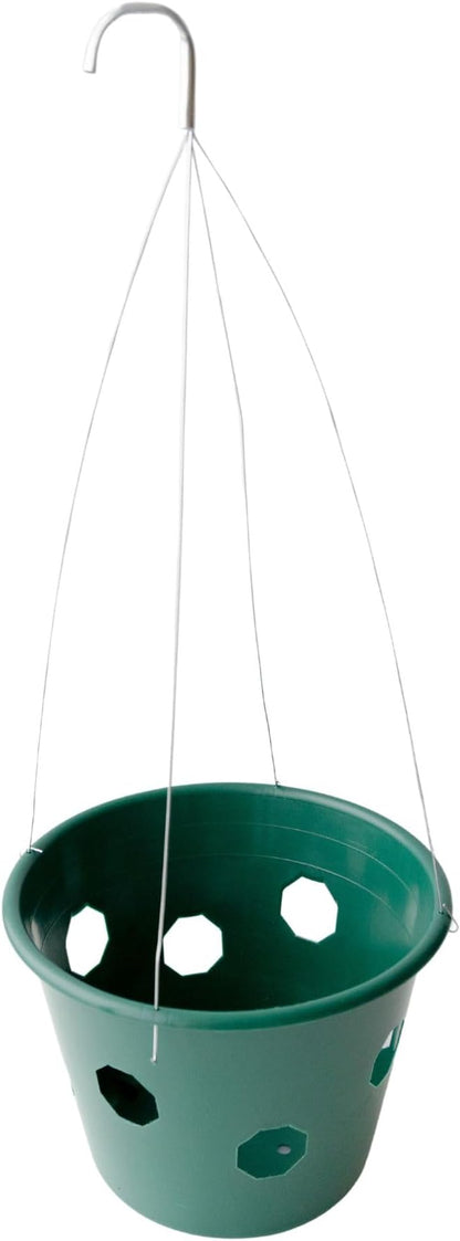Bloom Master Hanging Baskets - 2 Gallon (3 Pack) - Hanging Planters for Outdoor Plants - Use as a Hanging Flower Basket, Strawberry Planter, Herb Planter, & More - Hanging Pots for Plants Outdoor