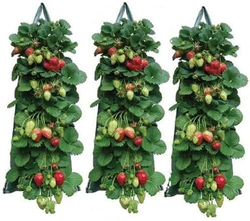2024 Hanging Strawberry Planter - Upside-Down Patio Garden Tomato Grow Bags With Handle for Outdoor (3)