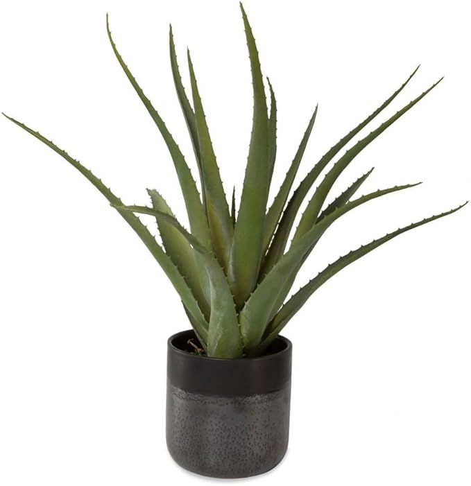 Uttermost 60204 Tucson - Planter-19 Inches Tall and 17 Inches Wide