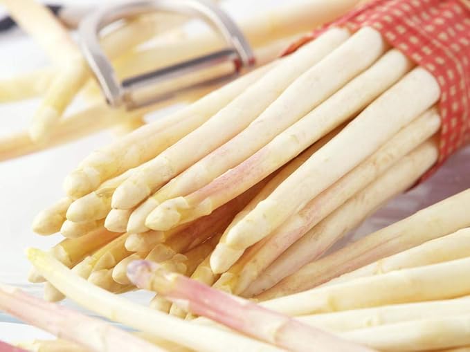 Seeds White Asparagus Non GMO Heirloom