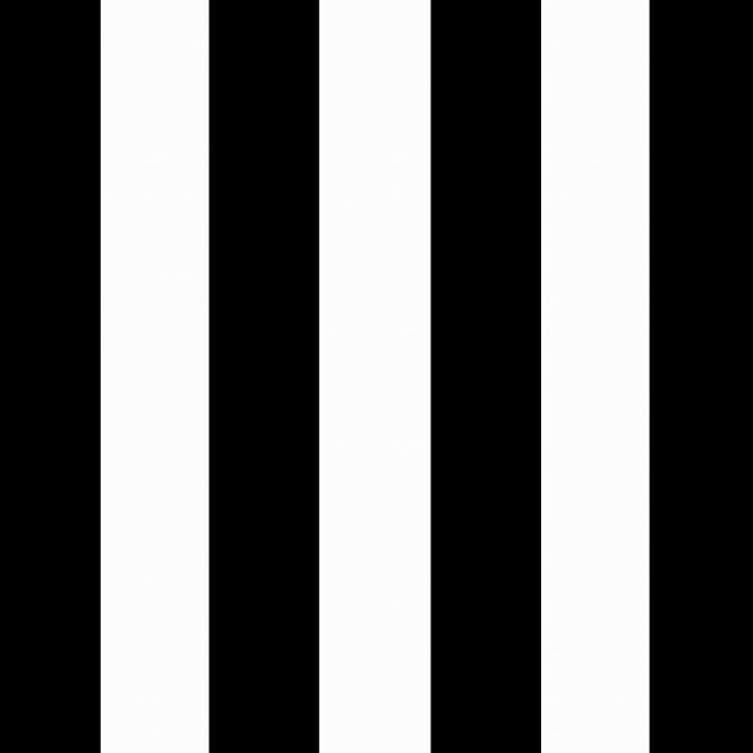 Arden 2-Pack Outdoor Patio Dining Chair Cushion, 20x44, Rain-Proof Seat Pad, Fade-Resistant Outdoor Cushion Black Cabana Stripe