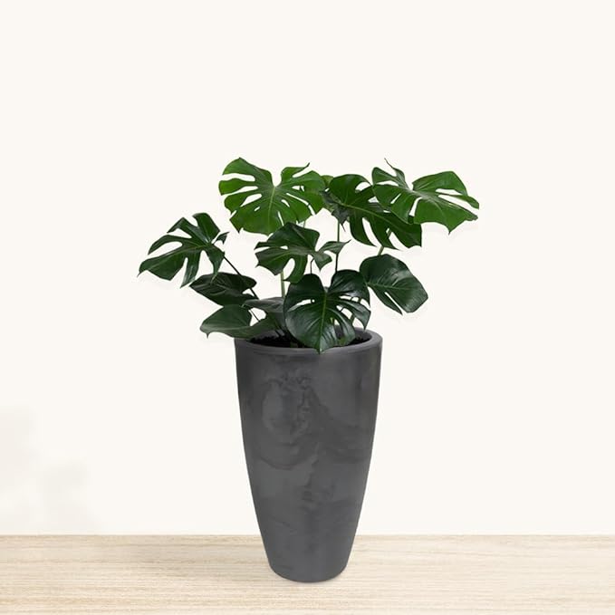 27.6" Tall Planter | Eco-Friendly, Durable, Lightweight | Indoor/Outdoor Use, All-Weather, Contemporary Design by Brazilian Artisans - Black
