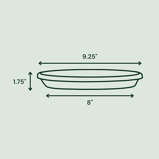 Bloem Terra Resin Saucer Tray: 8" Bottom Width - Charcoal Gray - Matte, Durable, Ribbed Bottom, Indoor and Outdoor, Fits 10" Terra Planters