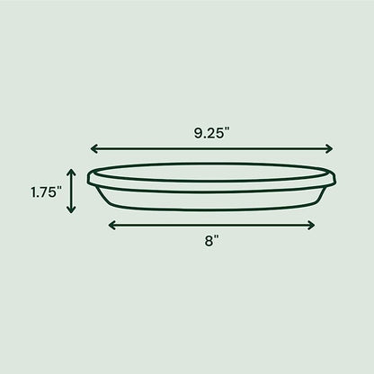 Bloem Terra Resin Saucer Tray: 8" Bottom Width - Charcoal Gray - Matte, Durable, Ribbed Bottom, Indoor and Outdoor, Fits 10" Terra Planters