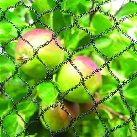 Bird Netting 30X30 FT, 1/2" Mesh, Strong Woven Garden Netting for Plants, Fruit Trees, Blueberry Bushes, Vegetables, Strawberry Protection, Against Bird, Deer, Squirres, Poultry, Small Animals