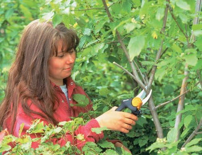 Fiskars PowerGear Pruner (7936)