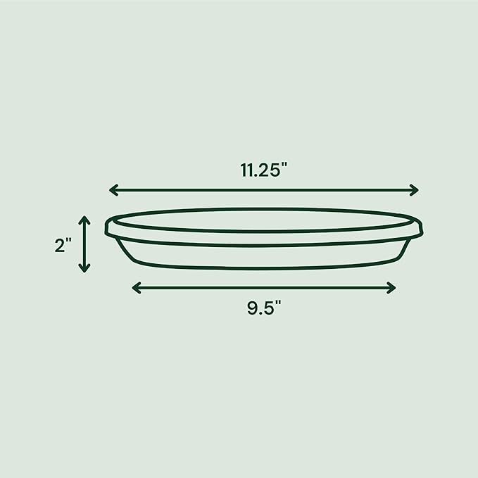 Bloem Terra Resin Saucer Tray: 9.25" Bottom Width - Black - Matte, Durable, Ribbed Bottom, Indoor and Outdoor, Fits 12" Terra Pots