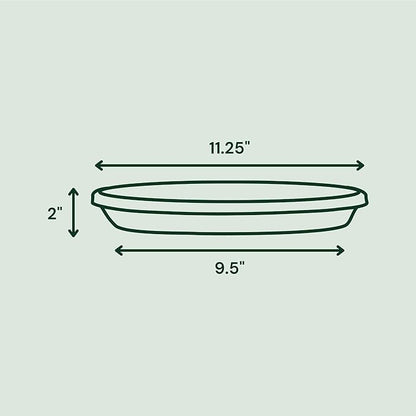 Bloem Terra Resin Saucer Tray: 9.25" Bottom Width - Chocolate Brown - Matte, Durable, Ribbed Bottom, Indoor and Outdoor, Fits 12" Terra Pots