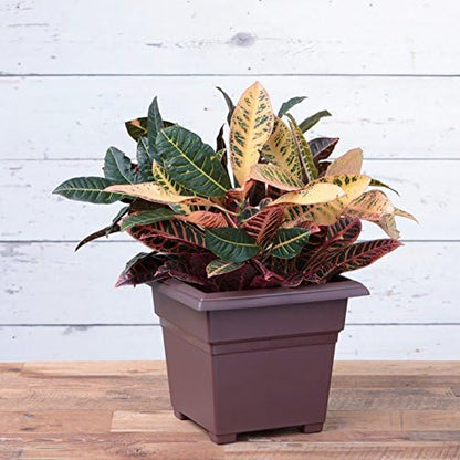 Novelty Countryside Square Tub Planter, Brown, 14-Inch
