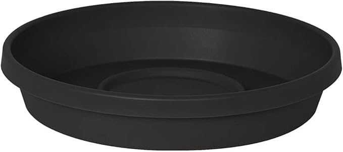 Bloem Terra Resin Saucer Tray: 4.75" Bottom Width - Black - Matte, Durable, Ribbed Bottom, Indoor and Outdoor, Fits 6" Terra Pots
