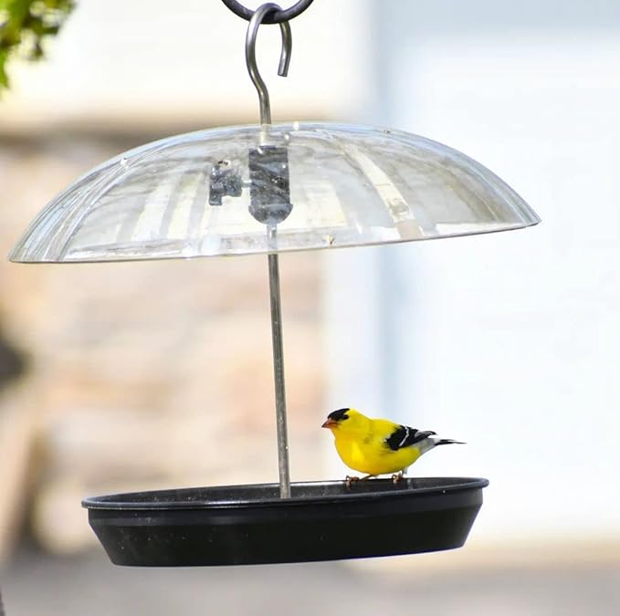 Kingsyard Adjustable Platform Bird Feeder for Outdoors, Hanging Metal Seed Tray with Clear Rain Proof Dome, Large Capacity for Wild Bluebird Cardinal Goldfinches, Black