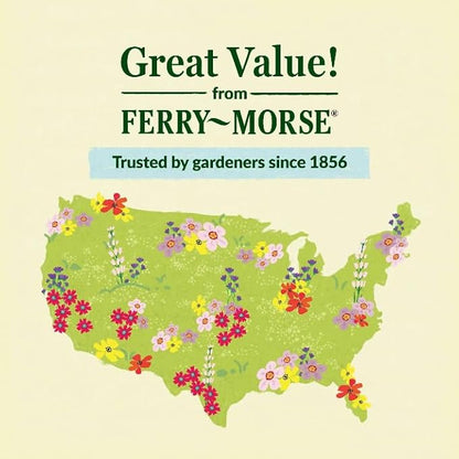 Ferry-Morse Sunsational Sunflower Bulk Flower Seeds, 1lb