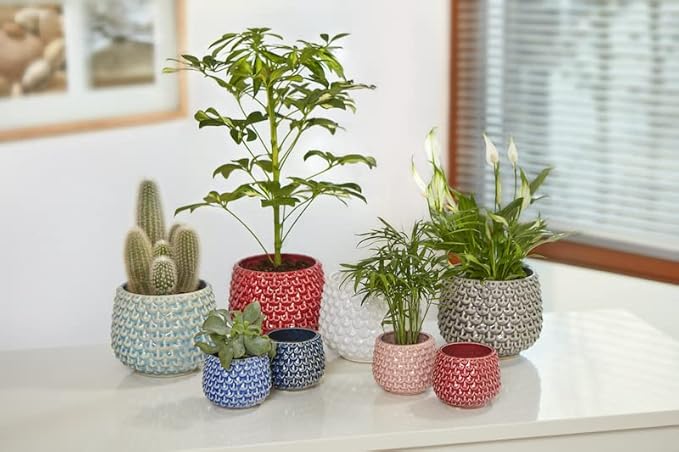 Bloomingville Stoneware Flower Pot Pinecone, Planter, 6,5'', Red