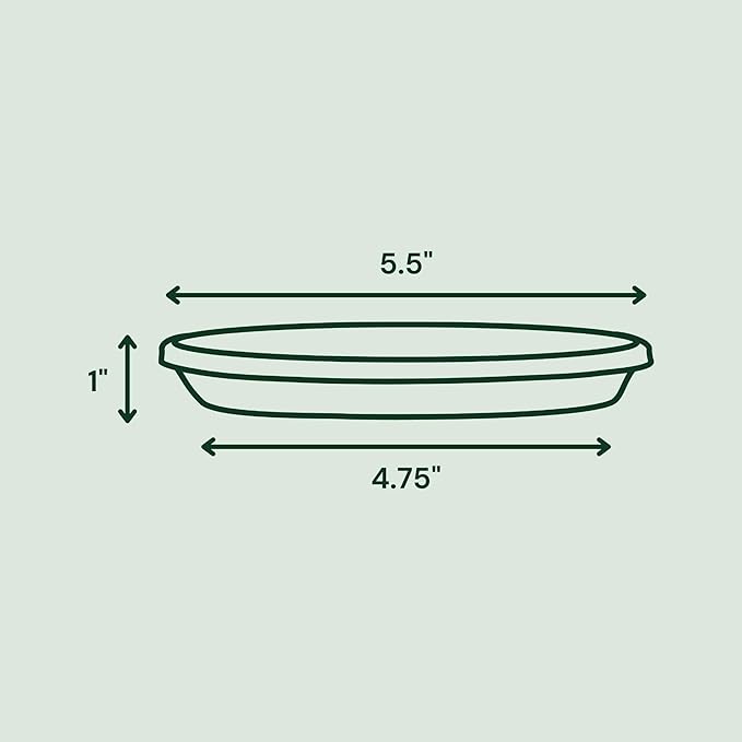 Bloem Terra Resin Saucer Tray: 4.75" Bottom Width - Navy Blue - Matte, Durable, Ribbed Bottom, Indoor and Outdoor, Fits 6" Terra Pots