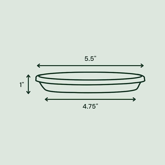 Bloem Terra Resin Saucer Tray: 4.75" Bottom Width - Navy Blue - Matte, Durable, Ribbed Bottom, Indoor and Outdoor, Fits 6" Terra Pots