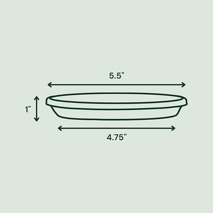 Bloem Terra Resin Saucer Tray: 4.75" Bottom Width - Terra Cotta - Matte, Durable, Ribbed Bottom, Indoor and Outdoor, Fits 6" Terra Pots