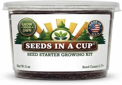 Tree Grow Kit | Easy to use | Educational | Memorial Gift | Plant It for The Planet | Grow Your Own Tree |Wide Selection to Choose from (Macadamia)