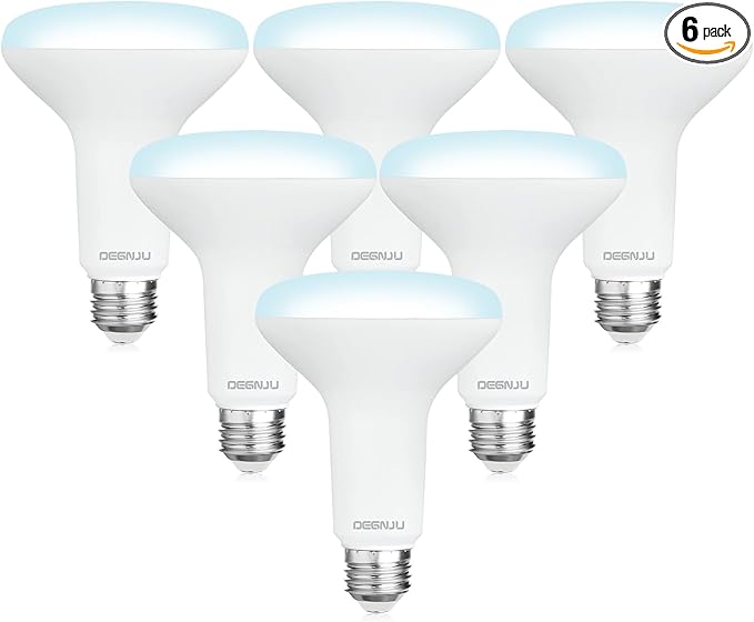 BR30 LED Bulb, Dimmable Flood Lights Indoor CRI80 7W Equivalent 65W 5000K Daylight 650 Lumens, 15000 Lifetime Hours Recessed Light Bulbs, Interior E26 Base LED Can Light Bulbs, 6 Pack