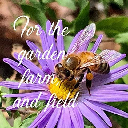 Wildflower Bulk, Southeastern Flower, 1 Lb. 640,000+ Seeds, Annual & Perennial Flowers with Native Southeastern Blooms, Pollinator Flower