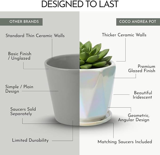 Coco Andrea Ceramic Plant Pots for Indoor Plants with Drainage & Saucers - 5-inch Iridescent White Planters for Houseplants, Succulents & Flowers - Housewarming Gift Set (1-pc, Small)