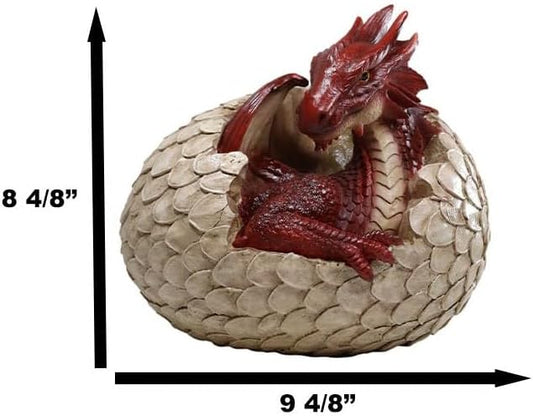 Ebros Large Smaug Red Baby Dragon Hatchling in Egg Statue 9.5" Long Dungeons Dragons Legends Fantasy Home and Garden Accent Decor Sculpture Medieval Renaissance Figurine Centerpiece