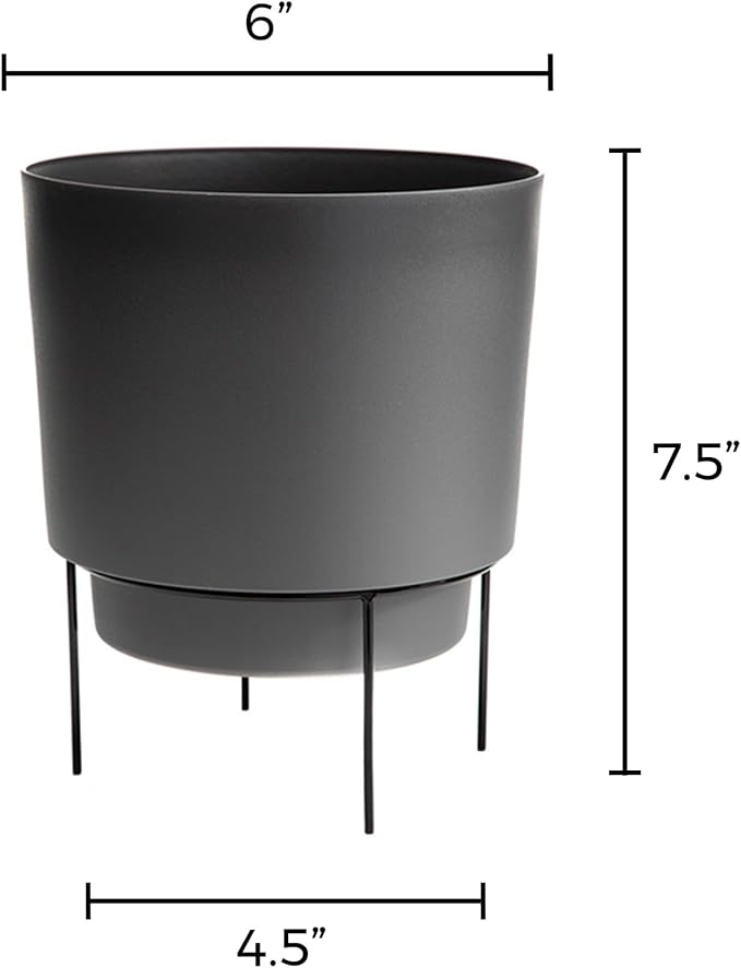 Bloem Hopson Decorative Resin Cachepot with Metal Stand, 6" Indoor and Outdoor Planter with Black Metal Stand, Charcoal