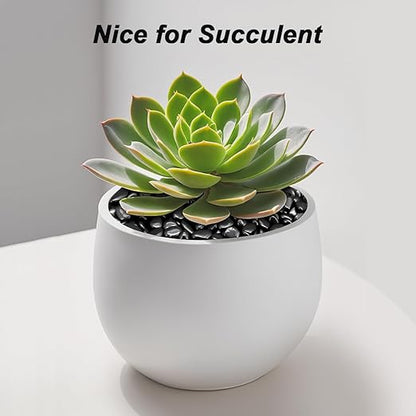 Garden Landscaping Stones,Landscaping Pebbles,River Rocks,Decorative Ornamental Pebbles,Gravel Filler for Home Decoration Flower Bed Fish Tank Plants Vases Succulents (1, Black, 1 Pound)