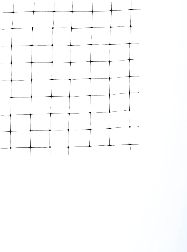 Tenax 2A240037 Bird Net 14'x14' Black