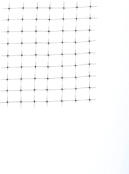 Tenax 2A240037 Bird Net 14'x14' Black