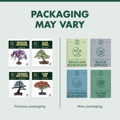 Garden Republic Bonsai Tree Kit - Mini Bonsai Seeds, 4 Types - Seed Starter Plant Growing Kit - Potting Soil Jute Bags Pruning Shears Tool and Plant Markers