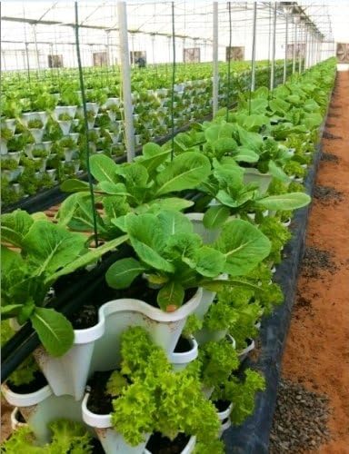 Vertical Gardening Planters - Mr Stacky Pots Can Use Any Growing Medium (Soil, Clay Pebbles, Vermiculte, Perlite, Coco Fiber) - Great for Hydroponics and Aquaponics Too - Build Your Own Stacking