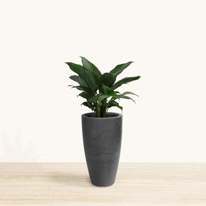 20.9" Tall Planter | Eco-Friendly, Durable, Lightweight | Indoor/Outdoor Use, All-Weather, Contemporary Design by Brazilian Artisans - Black