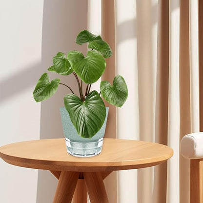 Green Self Watering Plant Pots - 6" Planters for Indoor Plants - Pack of 5 Flower Pots - Plant Pots with Drainage Hole and Tray Saucer (Frosted Dark Green)