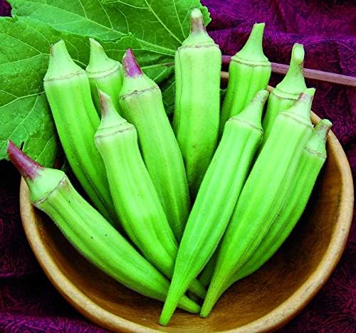 Seeds Louisiana Green Okra (Bamia, Lady Finger) Heirloom Vegetable Non GMO