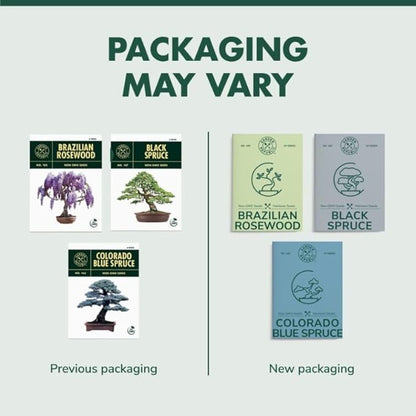 Garden Republic Bonsai Tree Kit - Mini Bonsai Seeds, 3 Types - for Indoor Plant Growing - Starter Kit with Seeds, Soil, Planters & Shears