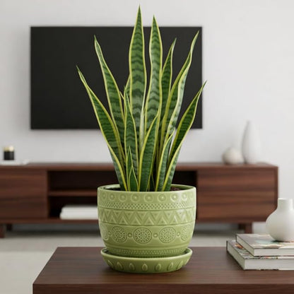 G EPGardening Indoor Plant Pot 5.5 Inch - Ceramic Planter with Drainage Hole and Saucer, Round Boho Plant Pot for Indoor Plants, Plant Lover Gifts, Home Garden Office Decor, Green