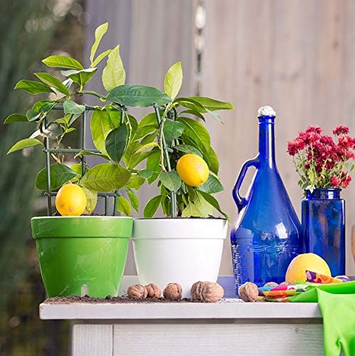 DECOPOTS - Self Watering Planter - Modern Flower Pot with Water Level Indicator for All House Plants, Flowers, Herbs (Diameter 7.9", Menthol/White)