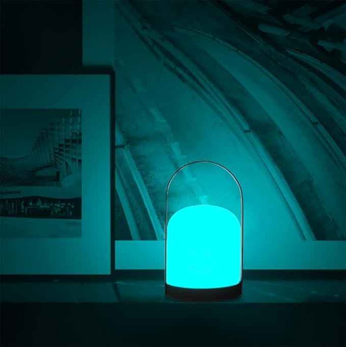 Mr.Go 6-inch LED Ball Light and Portable LED Table Lamp Bundle, Rechargeable, Remote Control, Dimmable 16 RGB Colors 4 Modes, Waterproof, Great as Night Light Mood Lamp Ambient Lighting Decorations