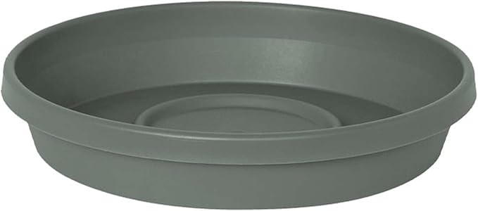 Bloem Terra Resin Saucer Tray: 8" Bottom Width - Basil Green - Matte, Durable, Ribbed Bottom, Indoor and Outdoor, Fits 10" Terra Pots