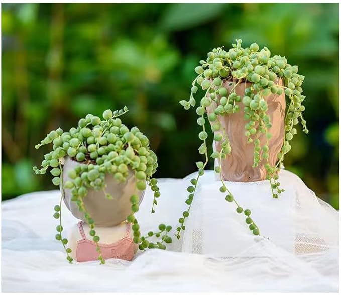 Small Fairy Head Planter, 3 Pack Succulent Pots, 4 Inches Girl Face Flower Pot Cute Resin Cactus Planters with Drainage Decorations, Gift for Women and Garden Decor