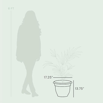 Bloem Ariana Planter with Grid