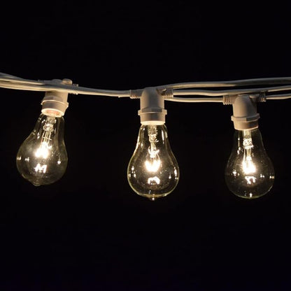 Hometown Evolution, Inc. Commercial Grade Vintage Edison Outdoor String Lights (PS50 Clear - Commercial White Wire, 25 ft)