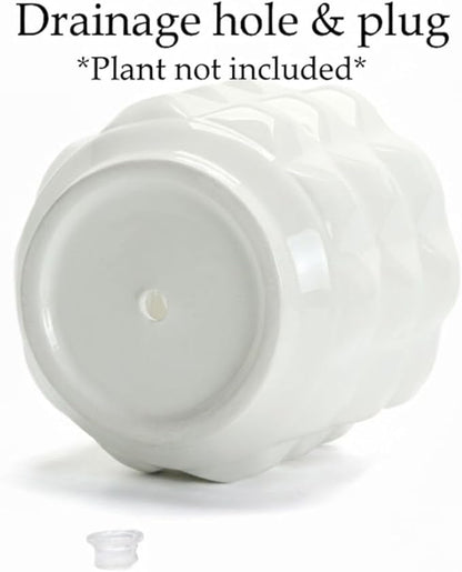 Ceramic Planter Pot with Drainage Hole, 4.5 Inch Dia, Indoor and Outdoor, Home Patio Garden, Plants Flower Succulent, 3D Patterned Round (White)