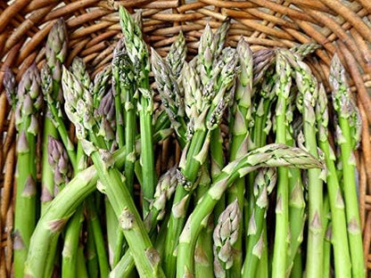 Seeds Green Mary Washington Asparagus - Heirloom Vegetable - GMO Free