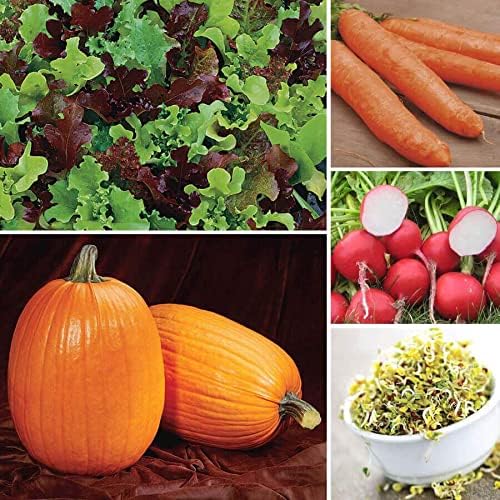 Park Seed Grow Your Own Curated Vegetable Seed Garden Collection, Easy Growing and Perfect for Harvesting, Ultimate Kid's Garden, 5 Packs