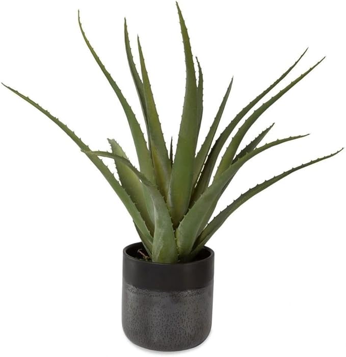 Uttermost 60204 Tucson - Planter-19 Inches Tall and 17 Inches Wide