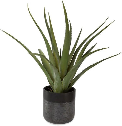 Uttermost 60204 Tucson - Planter-19 Inches Tall and 17 Inches Wide