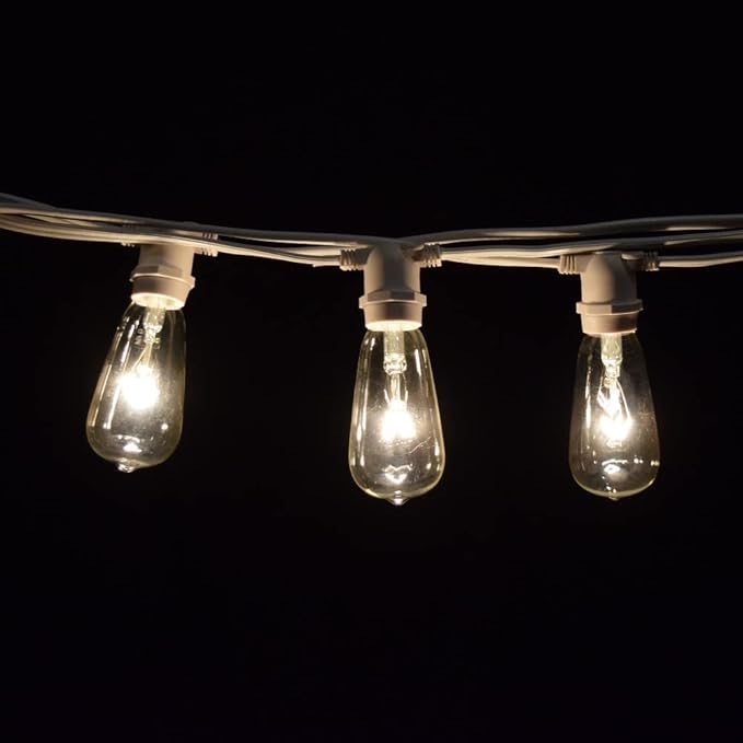 Hometown Evolution, Inc. Commercial Grade Vintage Edison Outdoor String Lights (ST40 Clear - Commercial White Wire, 50 ft)
